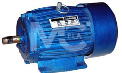 AC Squirrel Cage Motor